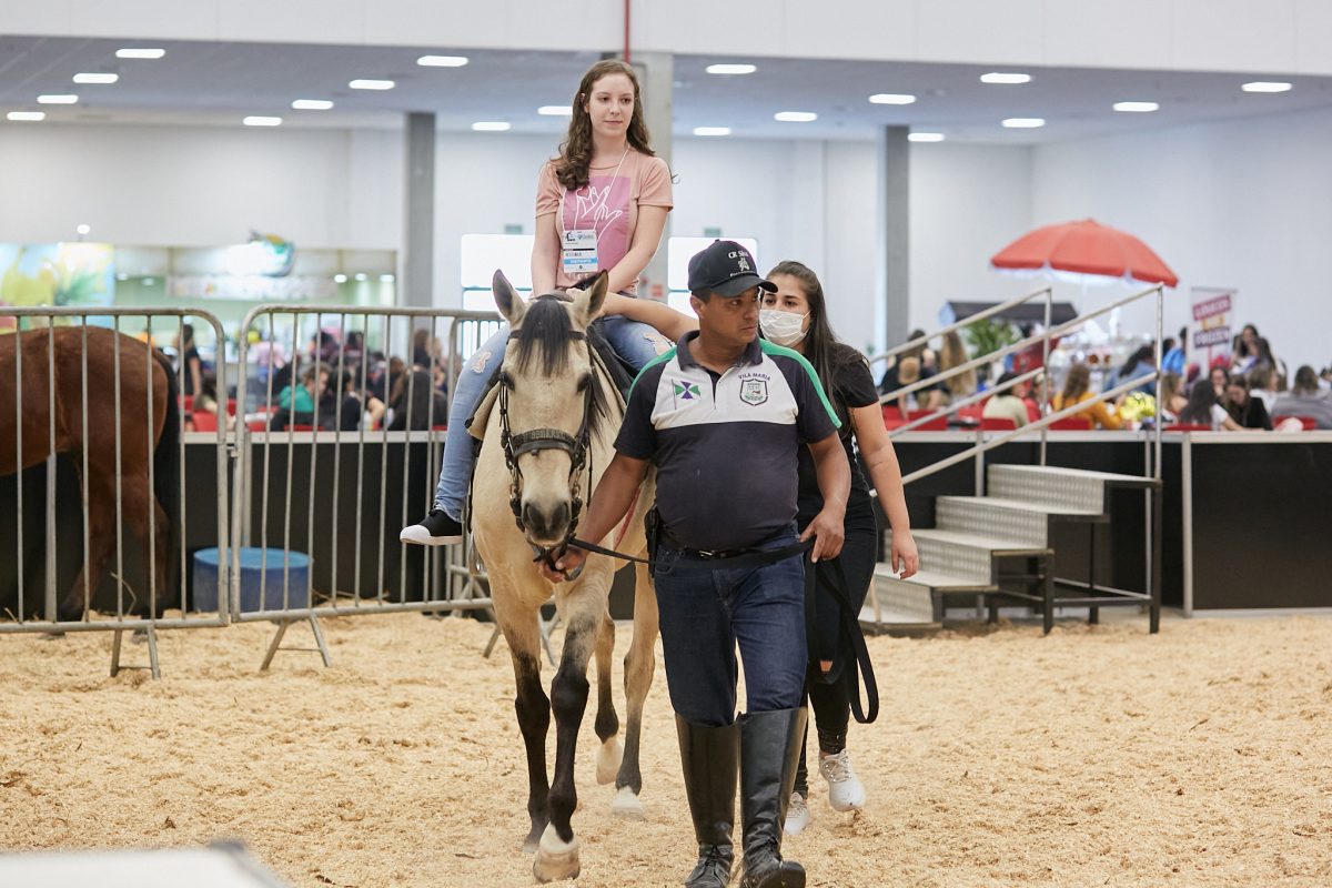 Equoterapia na Reatech: Cavalos auxiliam em tratamentos de saúde acima de dois anos
